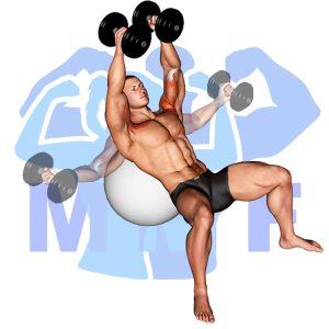 Graphic image of Stability Ball Incline Dumbbell Fly.