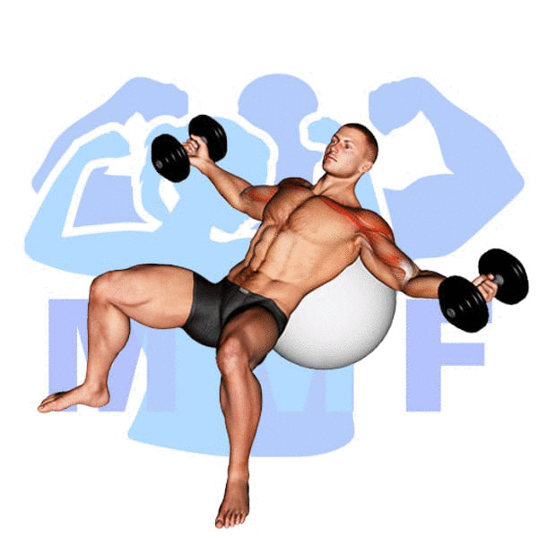 Man Performing Stability Ball Incline Dumbbell Fly