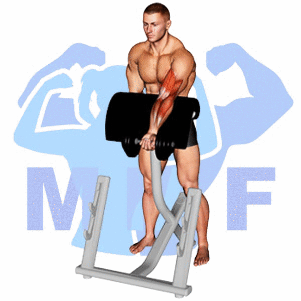 Man Performing Standing Dumbbell Zottman Preacher Curl
