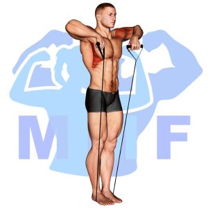 Graphic image of Band Upright Row.