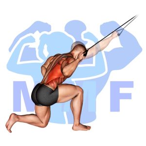 Graphic image of One Arm Pulldown With Bands.