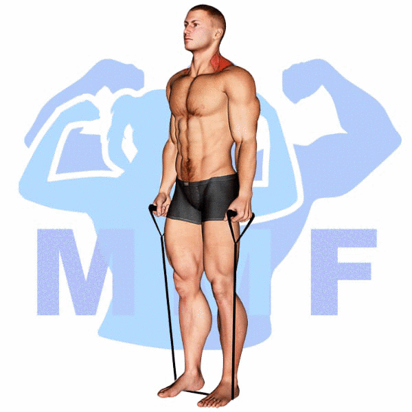 Graphic image of a fit man performing alternate cable triceps extensions.