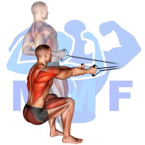 Graphic image of Squat Row With Bands.