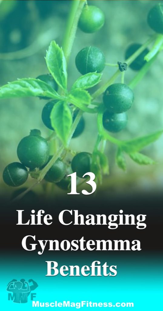 Pinterest Image of 13 Life Changing Gynostemma Benefits - Looking for "the herb of immortality" then you are looking for Gynostemma?  Some of the claims may have been exaggerated to give it this name, that doesn't mean it is not the supplement that you need. Here are 13 real Gynostemma Benefits you may need.