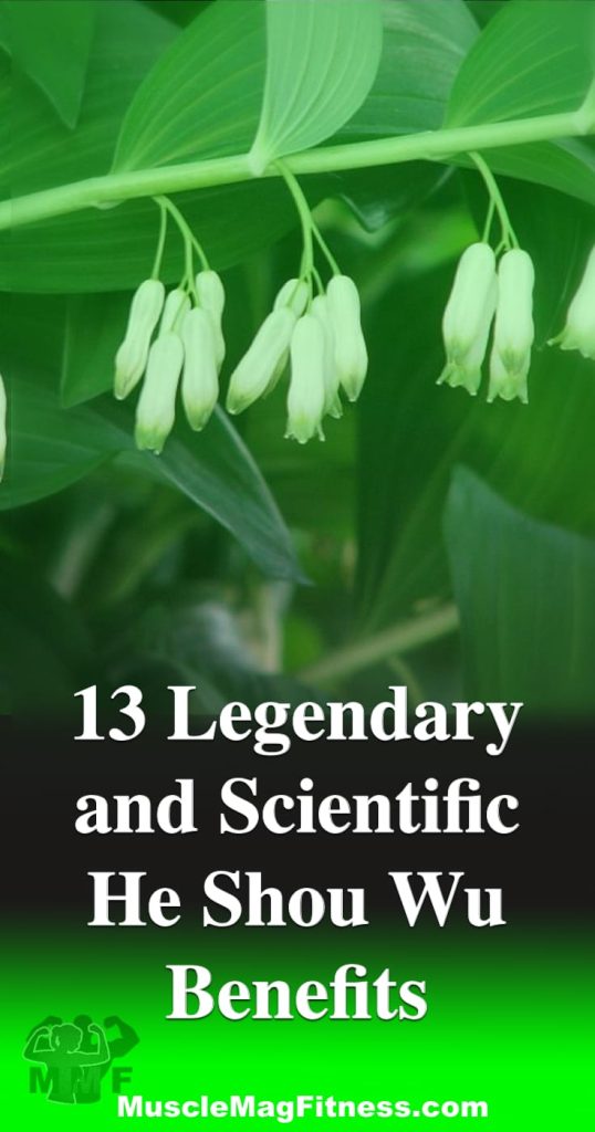 Pinterest image of 13 Legendary and Scientific He Shou Wu Benefits - Are you considering taking He Shou Wu for its legendary benefit?  If you live in America you may have heard the herb called Fo-ti which is He Shou Wu.  Recently scientists have been conducting studies to back up the legendary He Shou Wu Benefits.