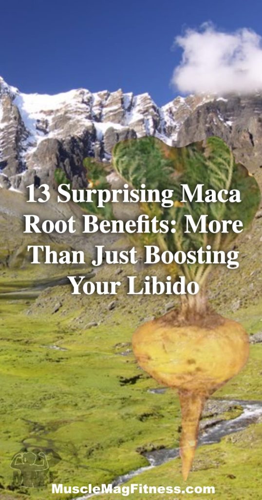 Pinterest image of 13 Surprising Maca Root Benefits: More Than Just Boosting Your Libido - Maca root is a great addition to your diet for both men and women. You will be amazed by these 13 maca benefits and adaptogen properties. You will improve your vitality, performance and ...