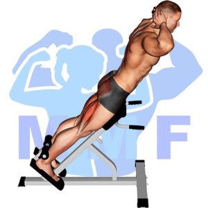 Graphic image of 45 Degree Hyperextensions.