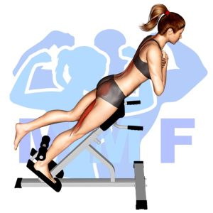 Graphic image of 45 Degree One Leg Hyperextension.
