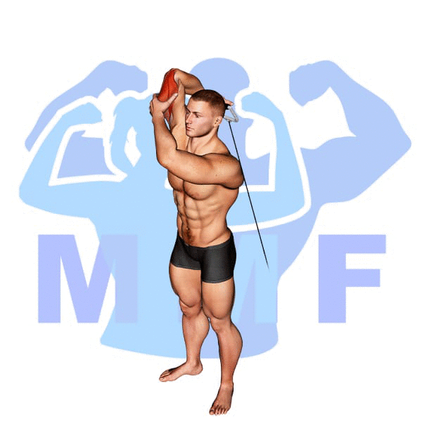 Graphic image of a muscular man performing alternate cable triceps extensions.