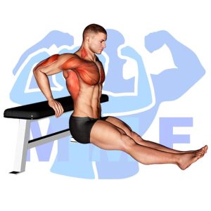 Graphic image of Bench Dip.