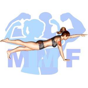 Graphic image of Bird Dog Plank.