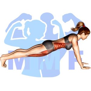 Graphic image of Bridge.