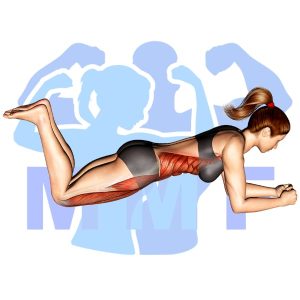 Graphic image of Bridge On Knees.