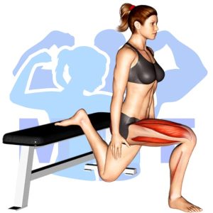 Graphic image of Bulgarian Split Squat.