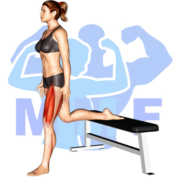 Graphic image of a fit woman performing Bulgarian Split Squat.