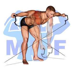 Graphic image of Cable Crossover Reverse Flys.