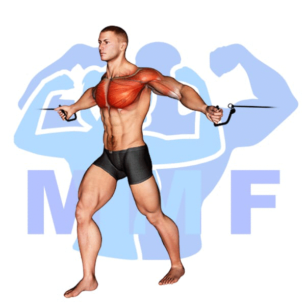 Graphic image of a muscular man performing Cable Flys.