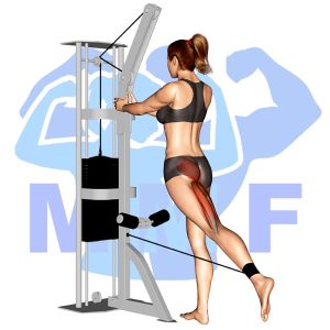 Graphic image of Cable Glute Kickbacks.