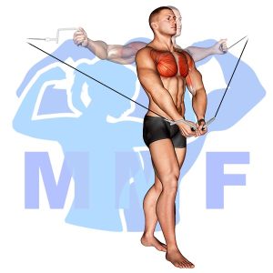 Graphic image of Cable Low Fly.