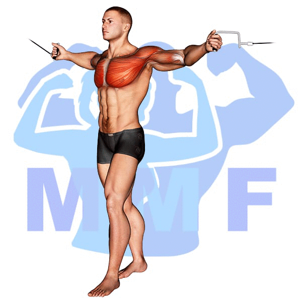 Graphic image of a fit man performing alternate cable triceps extensions.