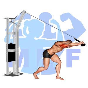 Graphic image of Cable Overhead Triceps Extension.