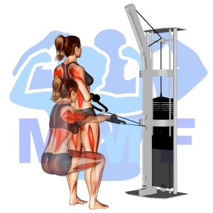 Graphic image of Cable Squat Row.