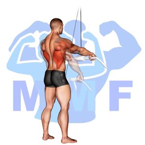 Graphic image of Cable Straight Arm Low Pulldown.