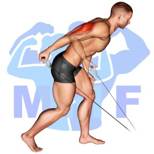 Graphic image of Cable Tricep Kickbacks.
