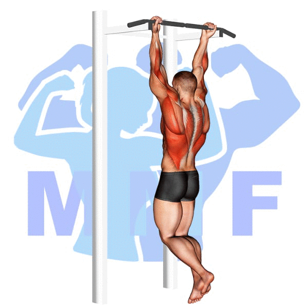 Graphic image of a muscular man performing Chin Up.