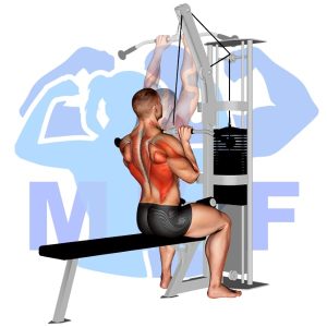 Graphic image of Close Grip Lat Pulldown.