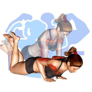 Graphic image of Close Grip Push Up On Knees.