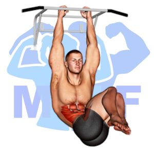 Graphic image of Hanging Oblique Knee Raises.
