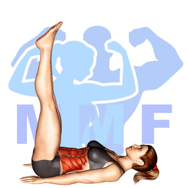 Graphic image of a fit woman performing Hip Lift.
