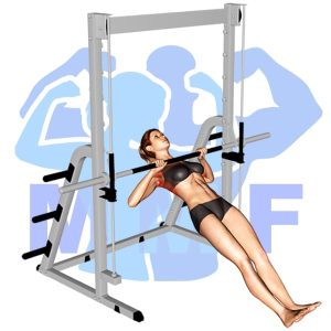 Graphic image of Inverted Row.