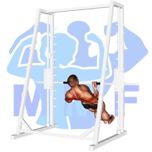 Graphic image of Inverted Row Underhand Grip.