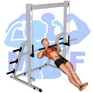 Graphic image of Inverted Rows.