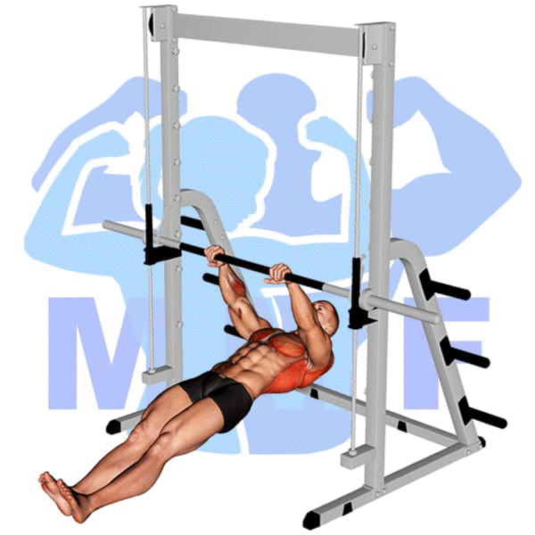 Graphic image of a fit man performing alternate cable triceps extensions.