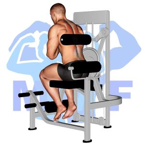 Graphic image of Lever Back Extension (Machine).