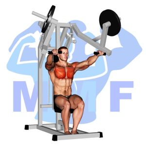 Graphic image of Lever Chest Press (Machine).