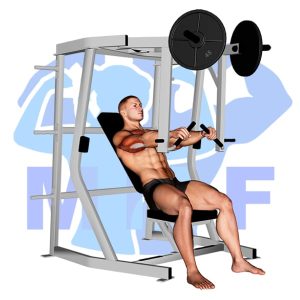 Graphic image of Lever Decline Chest Press (Machine).