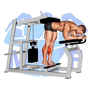 Graphic image of Lever Donkey Calf Raise (Machine).