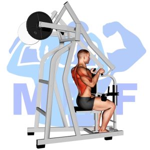 Graphic image of Lever High Row (Machine).