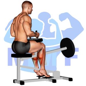 Graphic image of Lever Seated Calf Raise (Machine).