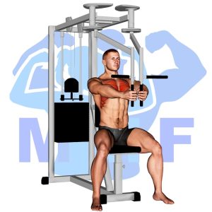 Graphic image of Lever Seated Fly (Machine).