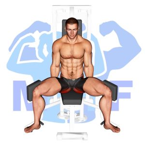 Graphic image of Lever Seated Hip Abduction (Machine).
