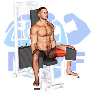 Graphic image of Lever Seated Hip Adduction (Machine).