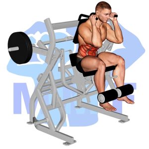 Graphic image of Lever Seated Leg Raise Crunch (Machine).