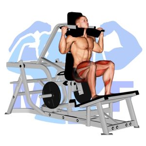 Graphic image of Lever Squat (Machine).