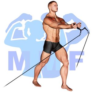 Graphic image of Low Cable Fly.