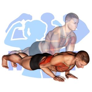 Graphic image of Narrow Push Up.